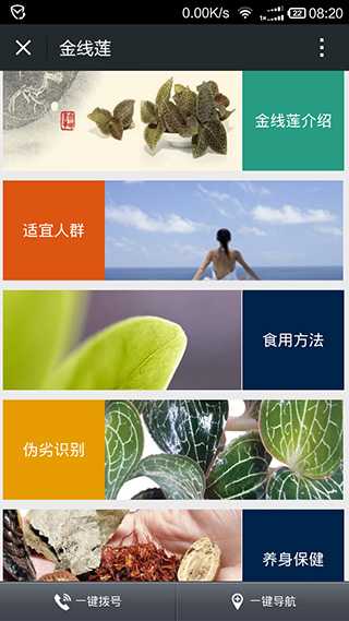 金線(xiàn)蓮微信